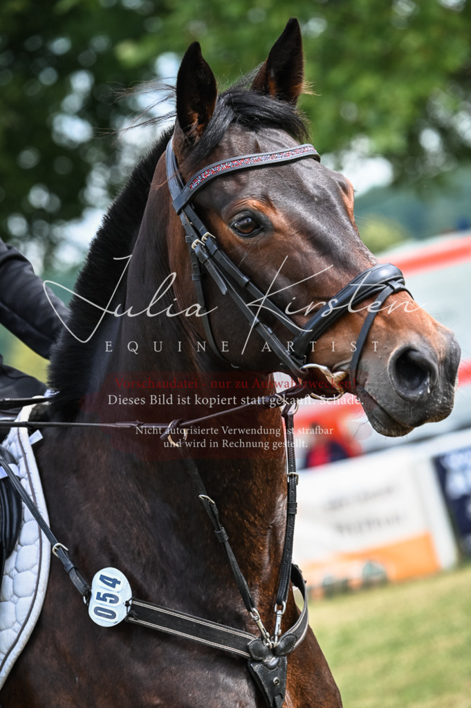 DSC_8430 | Pferde- und Turnierfotografie in Westsachsen. Pferdeportraits, Auftragszeichnungen und intuitive Kunst.