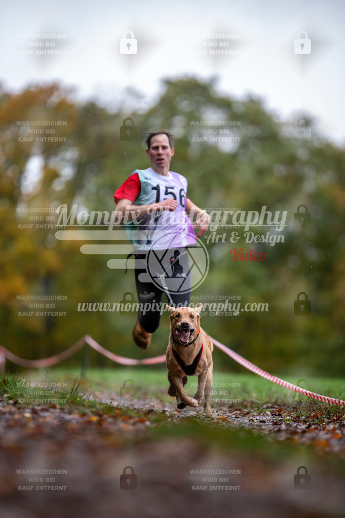 DBT_DAKM_SA_4_11_2023_Canicross-48 | PayLife