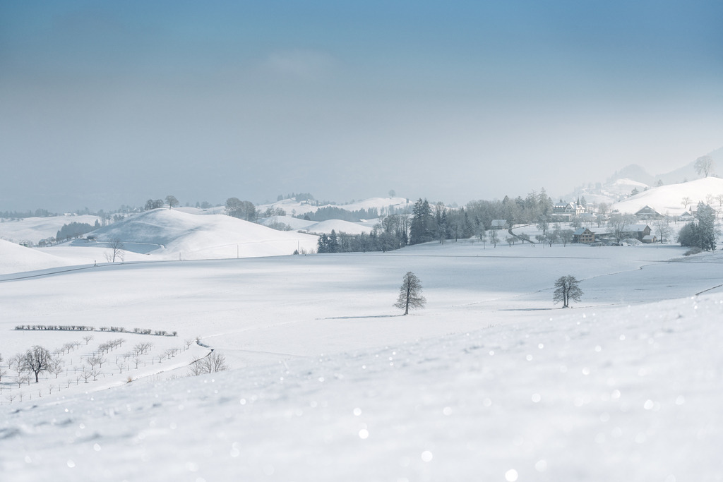 Drumlins im Schnee | Unbekanntere Drumlins in Menzingen, nicht minder schön im glitzernden Schnee - Realisiert mit Pictrs.com