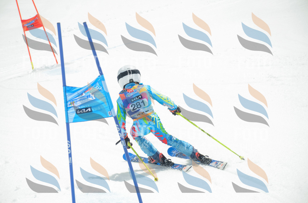 _ELE7957 | holidayphoto