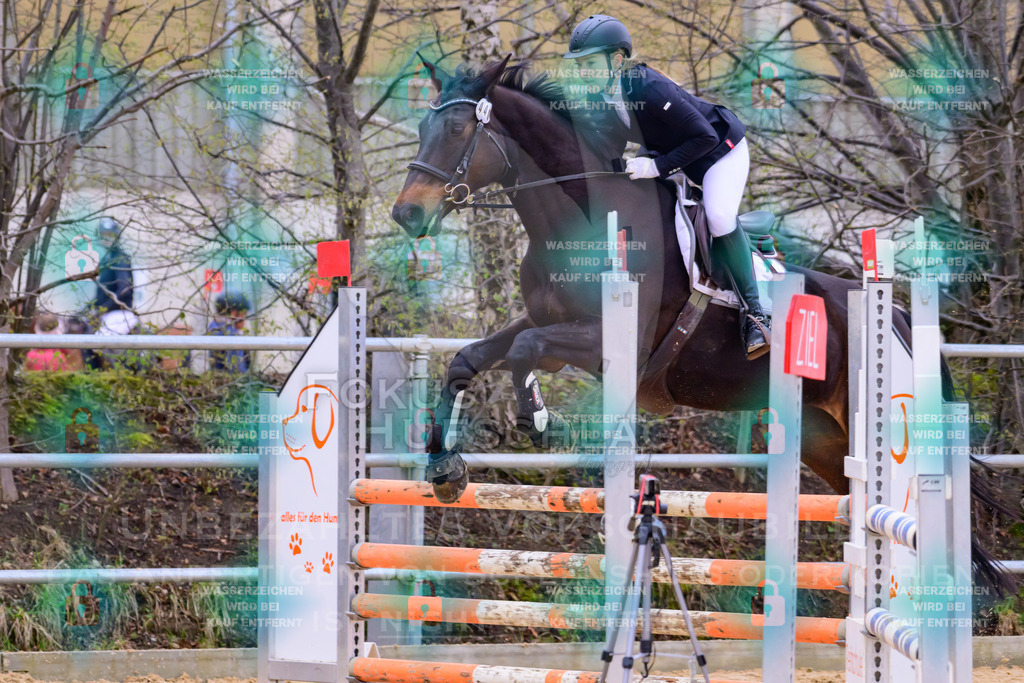 10042026-Mammendorf-Prfg17-0137 | Fokus Hufschlag Fotografie - Realisiert mit Pictrs.com