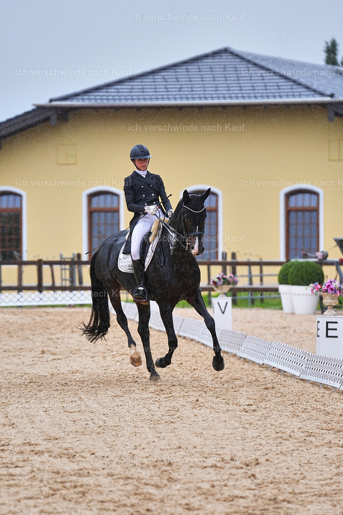 8_1-027-Klasse S_  -Marixx-4398 | working equitationturnier fotograf videograf stoibphotography marixx film working equitation deutschland reitsport turnierfotografie eventfotografie equestrian events