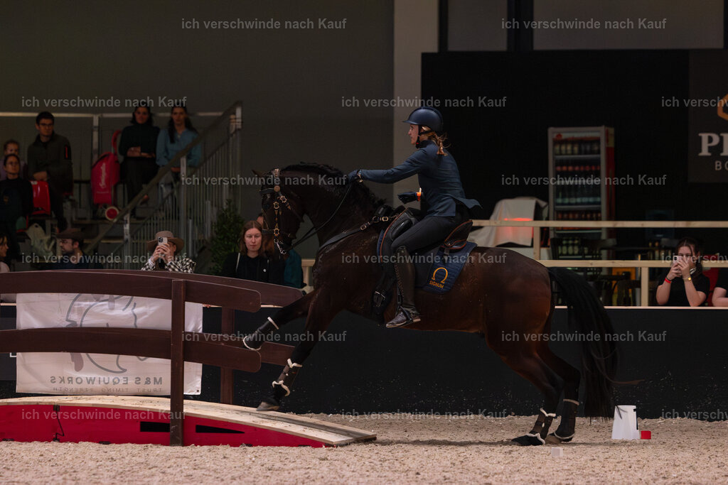 JoseraCup-160 | working equitationturnier fotograf videograf stoibphotography marixx film working equitation deutschland reitsport turnierfotografie eventfotografie equestrian events