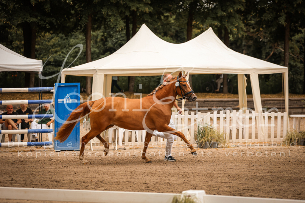 10.-12.Elite00017 | Leoni Ertmer Photography - Realisiert mit Pictrs.com