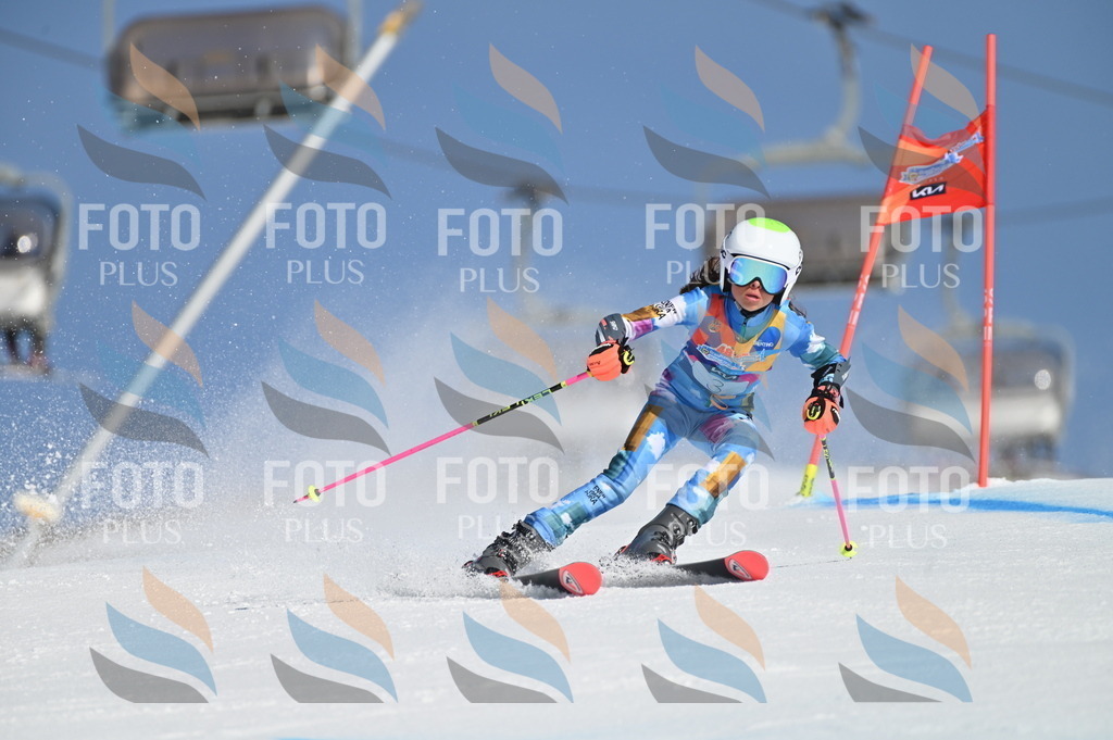 BGV_7612 | holidayphoto