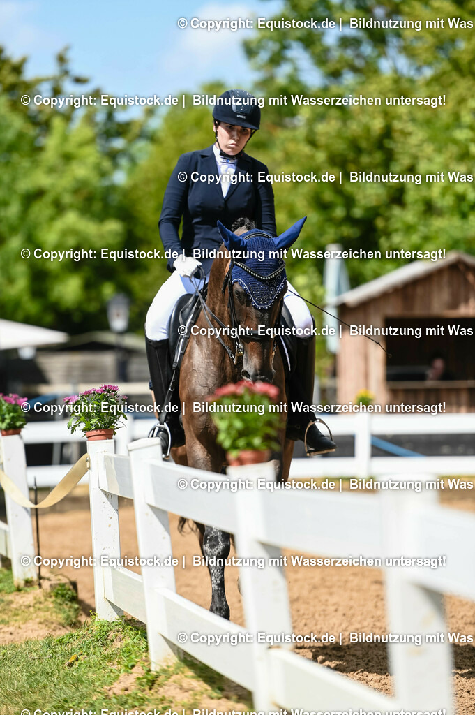 20230716_01_Dressurprüfung Kl.M_0293 | equistock