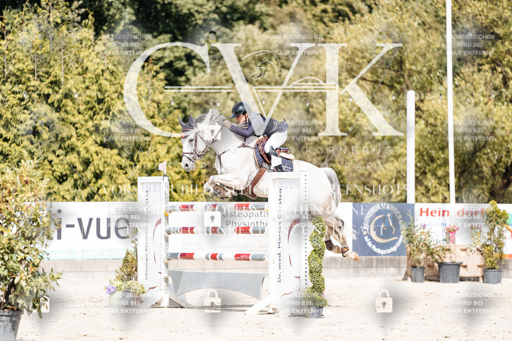 CK905294 | Turnierfotografie Pferdefotografie Trier Rheinland-Pfalz Pferdesport Reitsport Tierfotografie Sportfotografie Pferdevideo Pferdevideografie Equestrianvideography equestrianphotography  - Realisiert mit Pictrs.com
