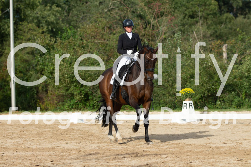 IMG_4738 | Creatify Fotografie