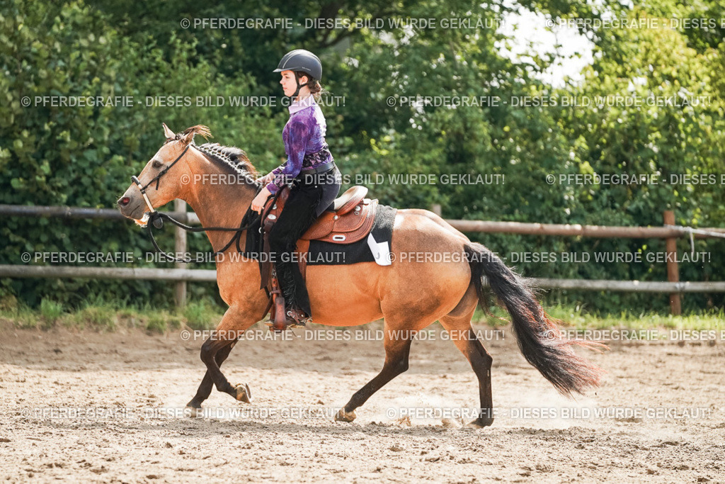 DSC04941 | Pferdegrafie