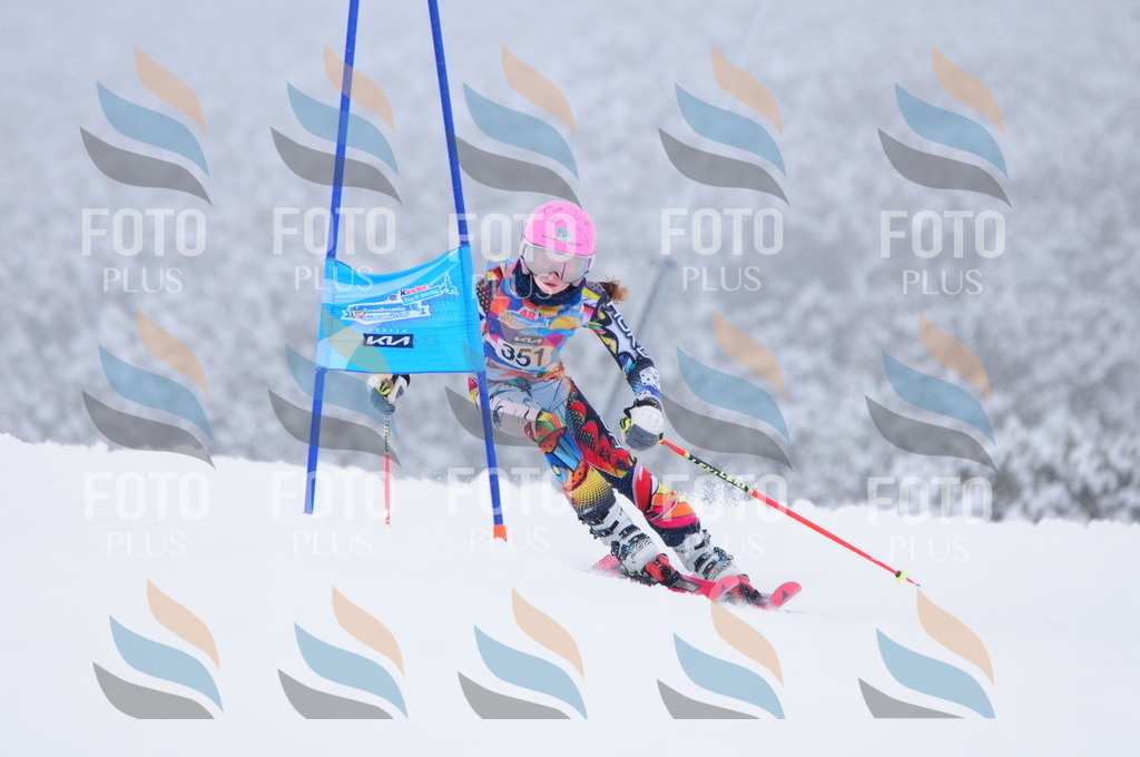 C3743 | holidayphoto