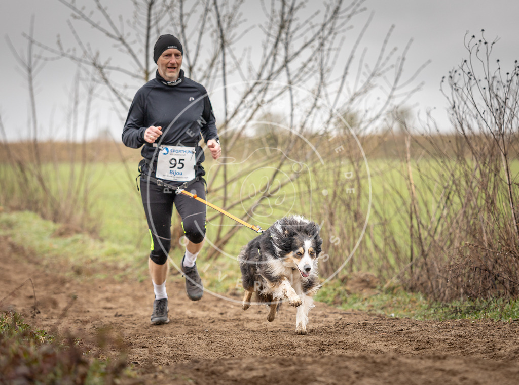 DV3A0082 | Hundefotografie, Tierfotograf, Pfotenfotografie, Fotoshooting Hund, Hunde Portrait, Hundesport, Hundeportraits, Heideshooting, Hunde, Sportfotograf, Hundefotograf, Turnierhundsport, THS,  - Realisiert mit Pictrs.com