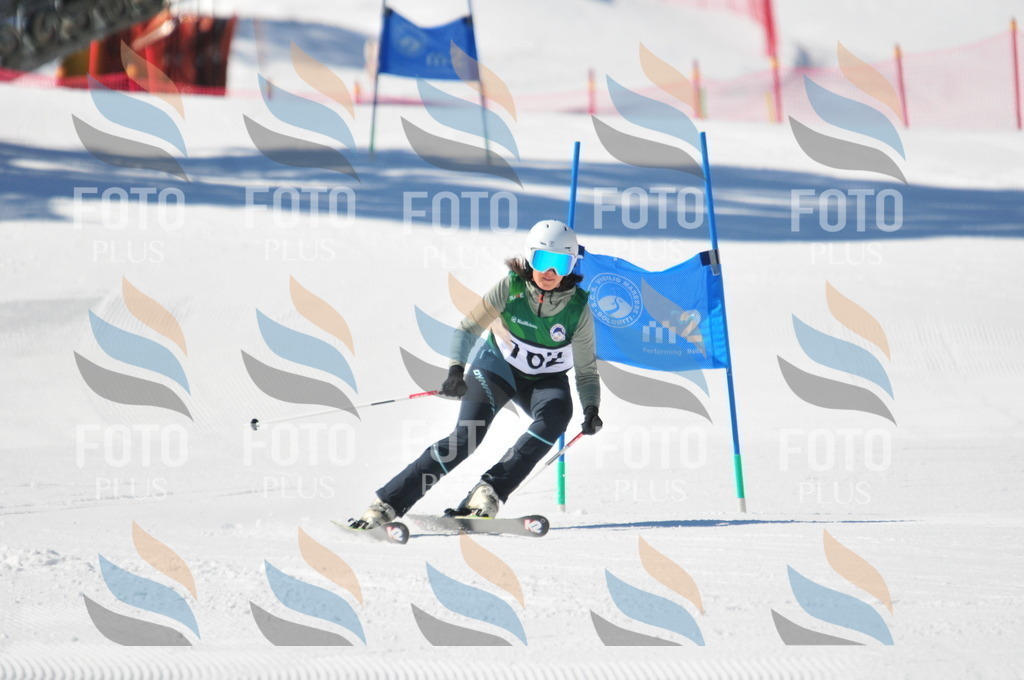 C4138 | holidayphoto