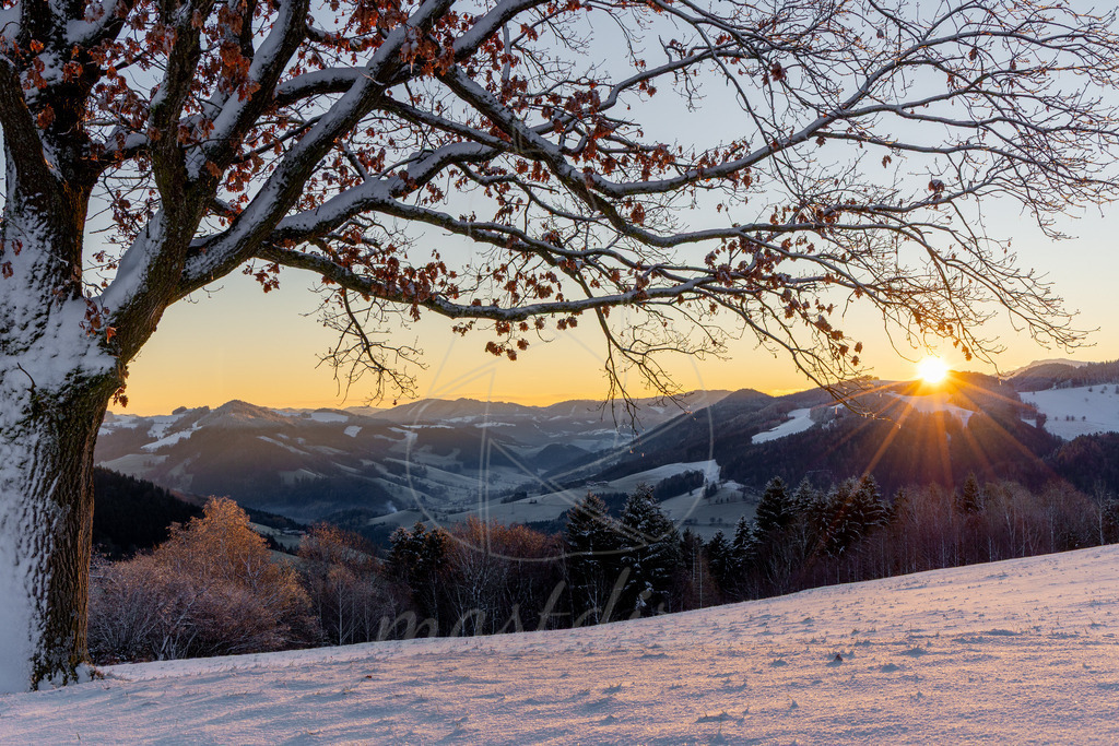 Winterwonderland Randegg | Ihre Fotografin im Lungau, ihre Fotografin im Mostviertel, Wandbilder Onlineshop, Imagefotos für Ihr Unternehmen,  - Realisiert mit Pictrs.com