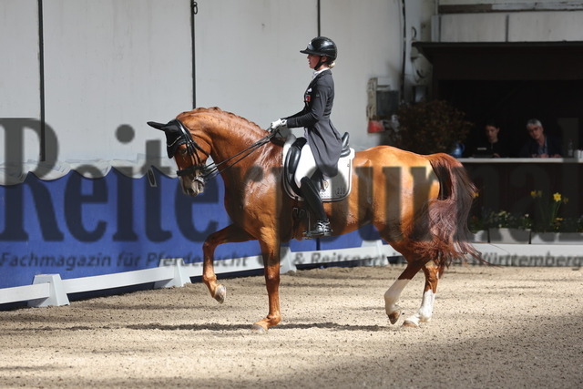 Pforzheim_2024_Prfg.Nr.01_Dressurprfg.Kl.S_GrandPrix_Andrina Suter_Q-Sieben 9 (28) | Alle Fotos der Reiterjournal Fotografin Doris Matthaes im Reiterjournal Online-Fotoshop. - Realisiert mit Pictrs.com