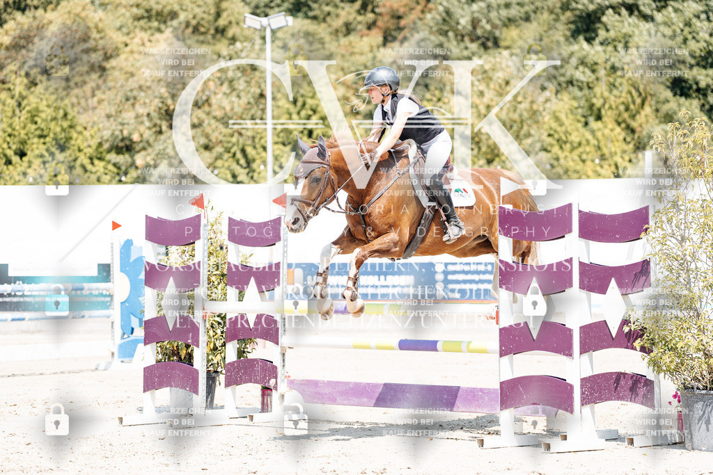 CK900976 | Turnierfotografie Pferdefotografie Trier Rheinland-Pfalz Pferdesport Reitsport Tierfotografie Sportfotografie Pferdevideo Pferdevideografie Equestrianvideography equestrianphotography  - Realisiert mit Pictrs.com