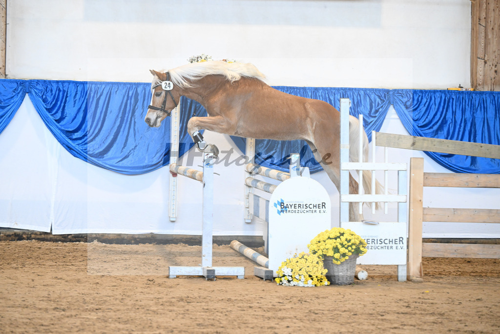 Kat-Nr. 24 nn v. Walkman M_Hartmann_48250495 | hf-fotografie - Realisiert mit Pictrs.com