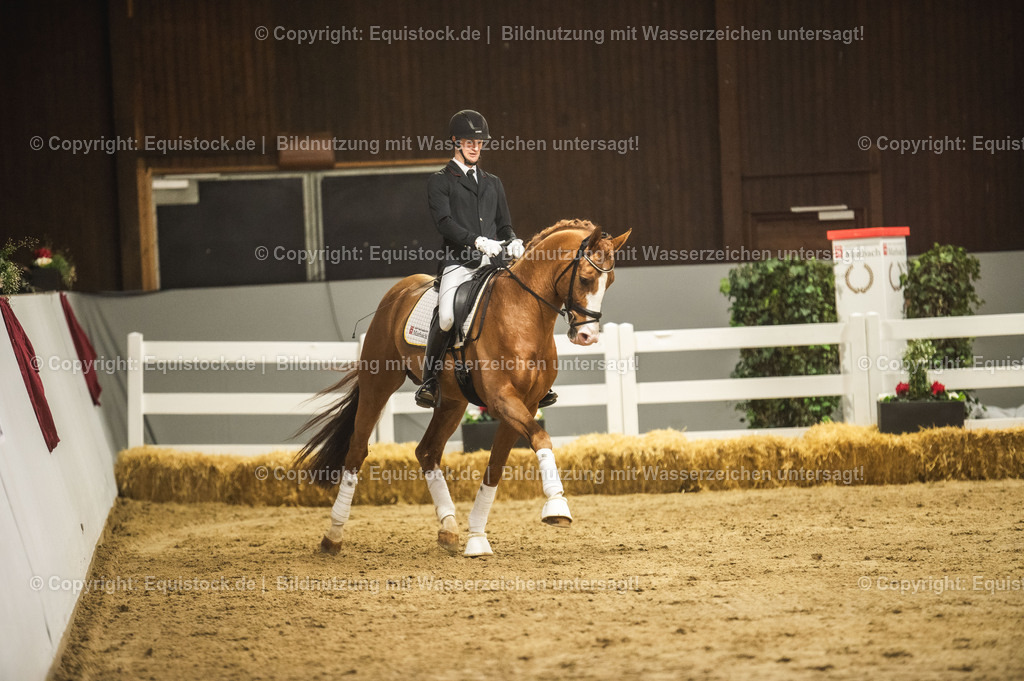 20240302_Hengstvorstellung_Marbach_TOMsPiC_0519 | equistock