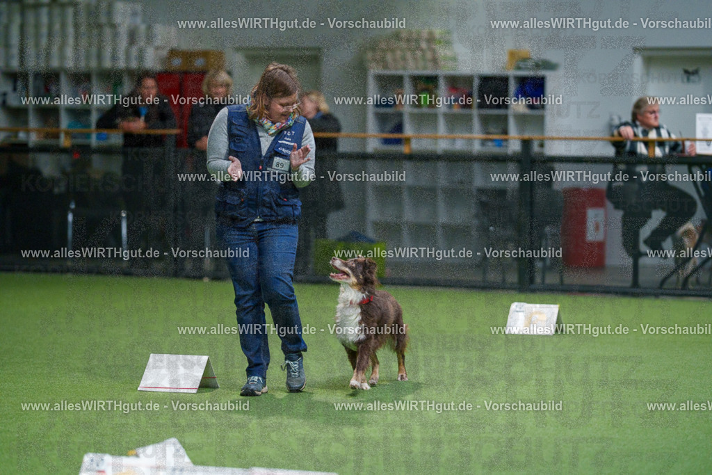 7R504228 | Professionelle Tierfotografie in Mönchengladbach von Daniel Wirth (allesWIRTHgut). Liebevolle & natürliche Bilder von Hunden & Katzen für unvergessliche Erinnerungen.