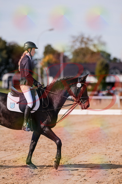 2026_10_03_Siefer-Hof_115434_Z81_93821524 | Professionelle Reitsport-, Turnier- und Eventfotografie von Robert Broda. Galerien mit ausgewählten und bearbeiteten Bildern direkt online ansehen und bestellen.