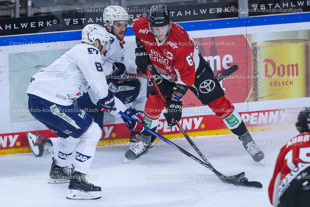 KoeDEL08032401025 | 08.03.2024, Köln, Eishockey, Penny DEL, 52. Spieltag, Lanxess-Arena, Kölner Haie - Adler Mannheim: Jordan Murray (Adler Mannheim) gegen Stanislav Dietz (Kölner Haie)