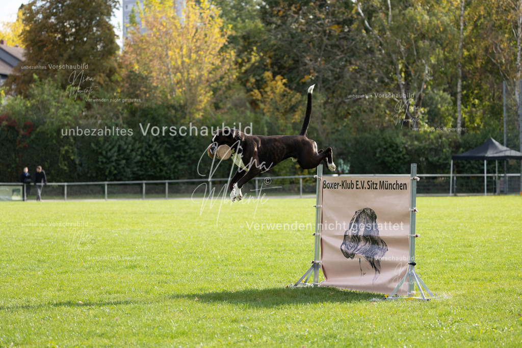 _16A6679 | Einzigartige Fotos von Hunden & Menschen –Actionfotos, Portraits, Vereinsaufnahmen & Paarshootings – authentisch, lebendig & mit Herz.