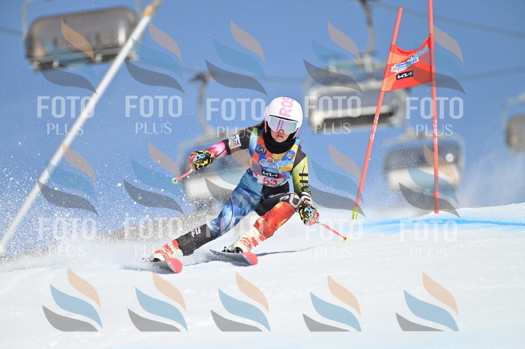 BGV_8588 | holidayphoto