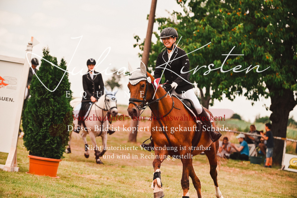 DSC_6992 | Pferde- und Turnierfotografie in Westsachsen. Pferdeportraits, Auftragszeichnungen und intuitive Kunst.