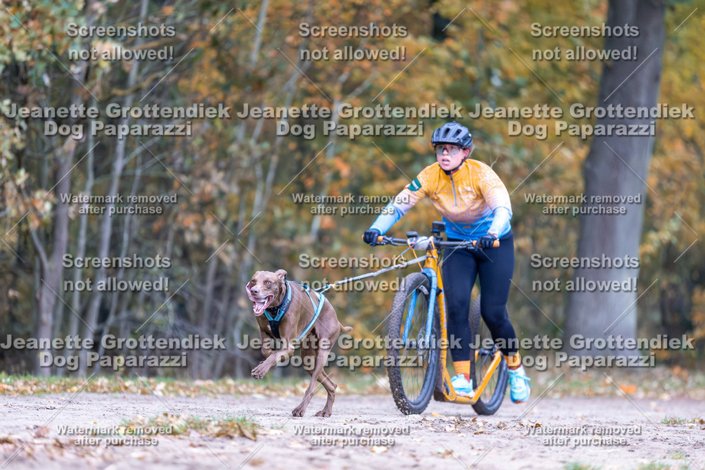 Dog Paparazzi - SD CaniX Championship 2025-24 | Dog Paparazzi Jeanette Grottendiek Fotografie & Videografie