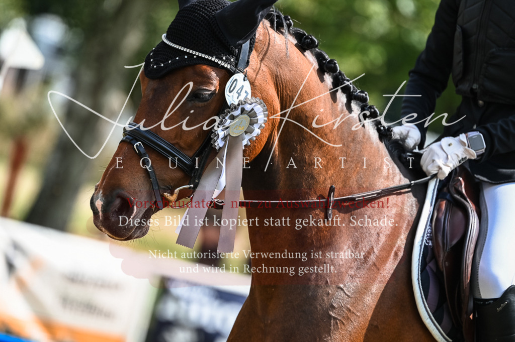 DSC_8622 | Pferde- und Turnierfotografie in Westsachsen. Pferdeportraits, Auftragszeichnungen und intuitive Kunst.