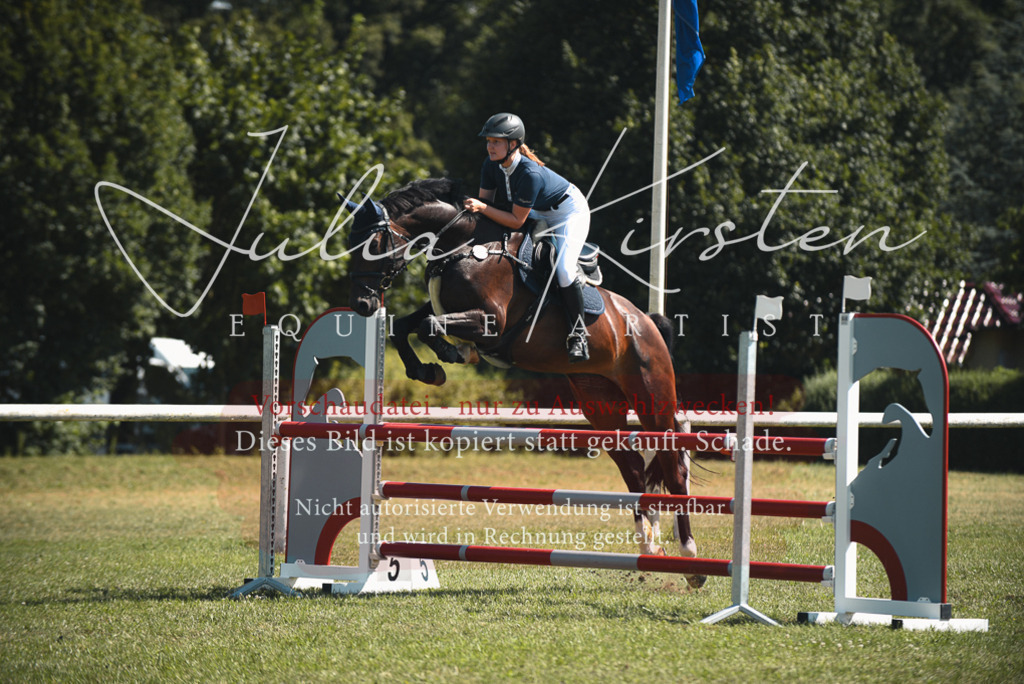 DSC_7010 | Pferde- und Turnierfotografie in Westsachsen. Pferdeportraits, Auftragszeichnungen und intuitive Kunst.