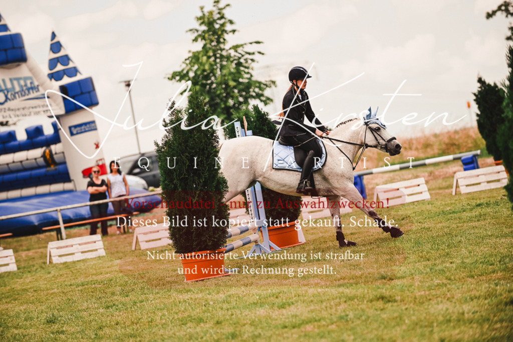 DSC_6972 | Pferde- und Turnierfotografie in Westsachsen. Pferdeportraits, Auftragszeichnungen und intuitive Kunst.