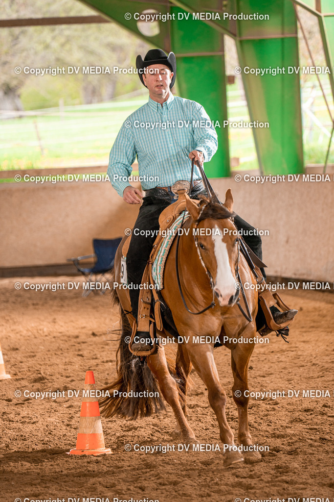 BAL00671 | dv-media-shop - Realisiert mit Pictrs.com