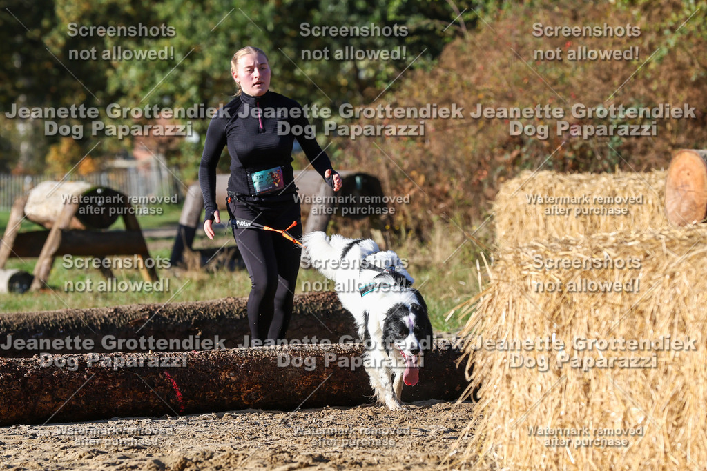 Dog Paparazzi - Strongdog 10-25-1768 | Dog Paparazzi Jeanette Grottendiek Fotografie & Videografie - Realisiert mit Pictrs.com