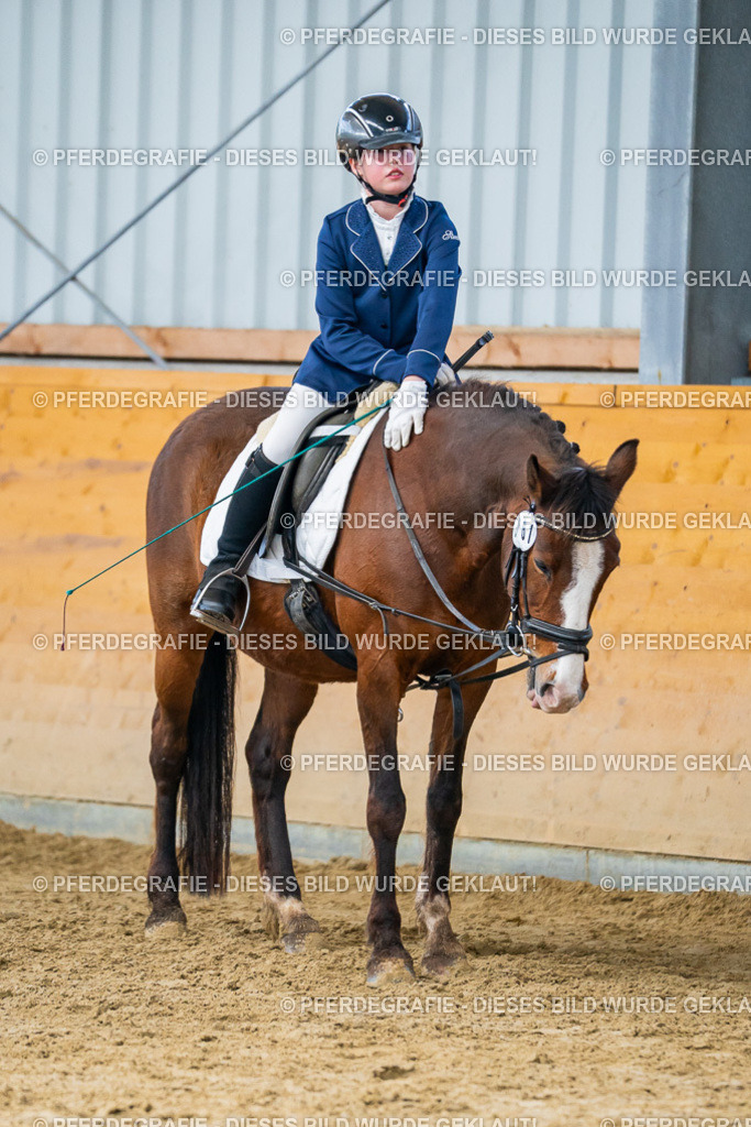 DSC01142 | Pferdegrafie