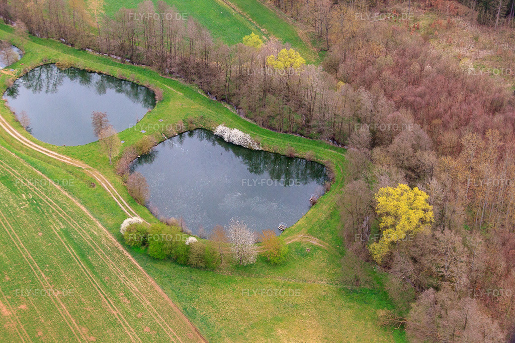 Luftbild: Fischteiche am Erbach im Ortsteil Sondheim in Mellrichstadt im Bundesland Bayern in Deutschland. Foto: IMG_64005.jpg vom 04.04.2014 durch Werner Riehm/FLY-FOTO.de
