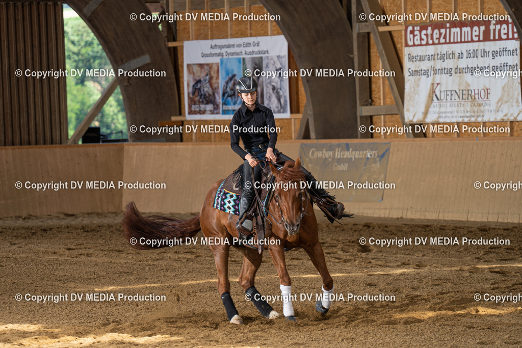 DSC00047 | dv-media-shop - Realisiert mit Pictrs.com