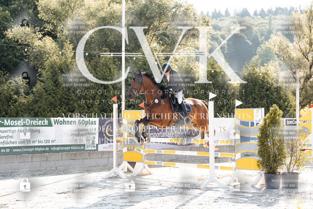CK907464 | Turnierfotografie Pferdefotografie Trier Rheinland-Pfalz Pferdesport Reitsport Tierfotografie Sportfotografie Pferdevideo Pferdevideografie Equestrianvideography equestrianphotography  - Realisiert mit Pictrs.com