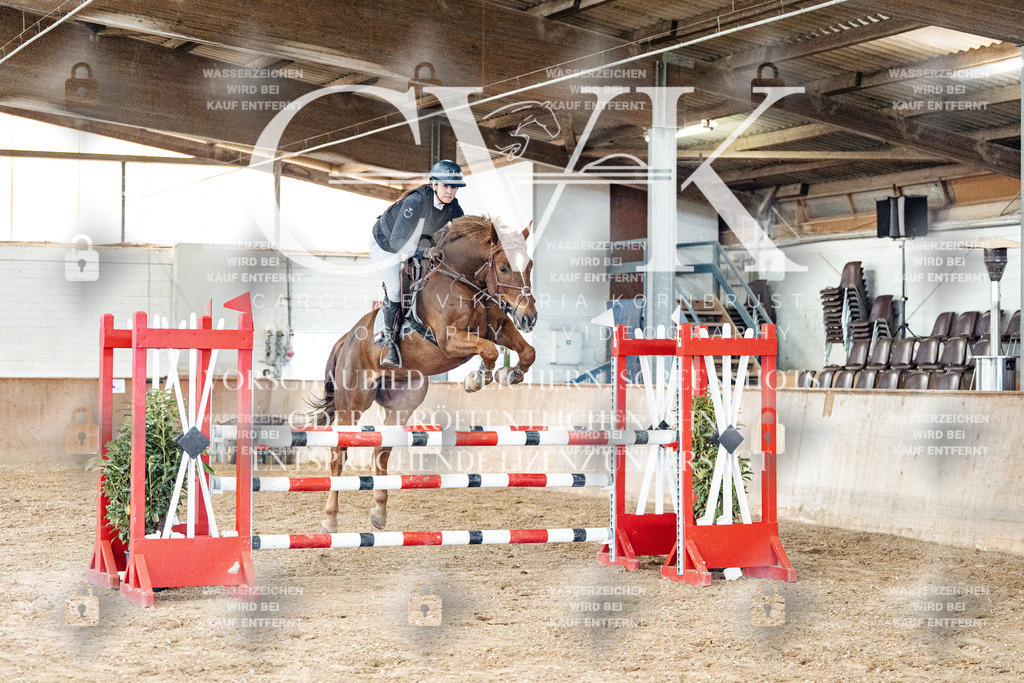 CK906165 | Turnierfotografie Pferdefotografie Trier Rheinland-Pfalz Pferdesport Reitsport Tierfotografie Sportfotografie Pferdevideo Pferdevideografie Equestrianvideography equestrianphotography  - Realized with Pictrs.com