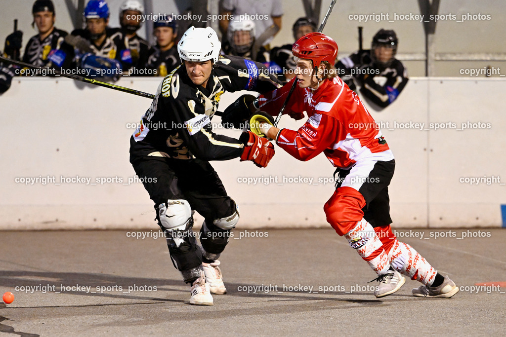 Team Zehenthof vs. HSC Eagles 7.7.2023 | #1 Kravanja Kristian, #7 Van EE Fin