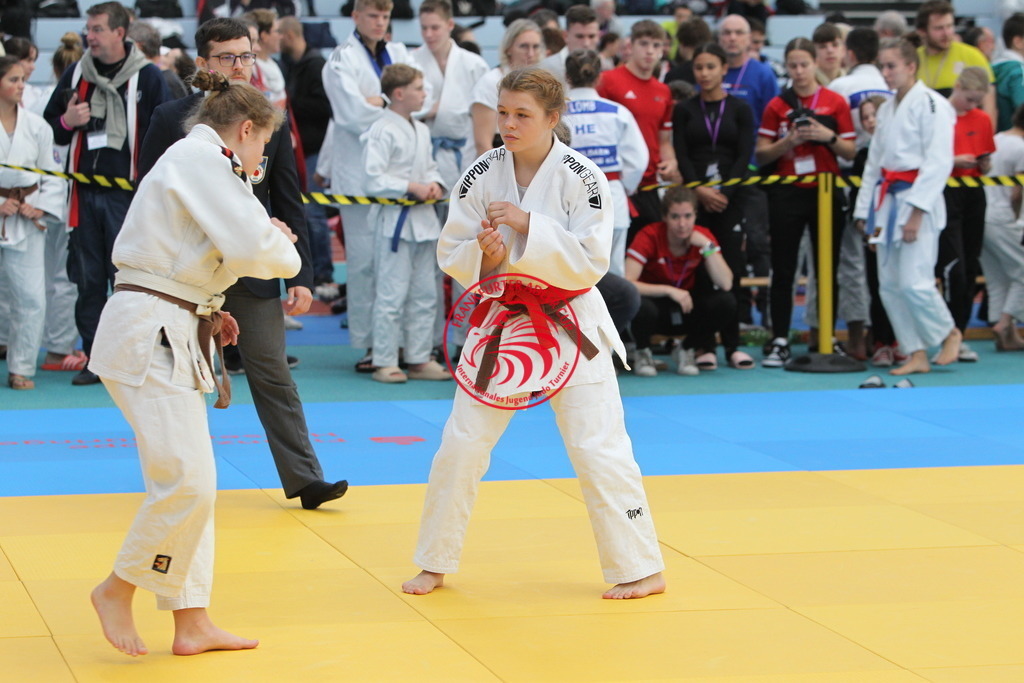 JT6F9591 | Fotos vom Adler Cup - Pictures from Adler Cup

Hier findet Ihr alle Eindrücke und großen Momente der Adler Cup Wochenenden. Here you will find all impressions and great moments of the Adler Cup weekends. - Realisiert mit Pictrs.com