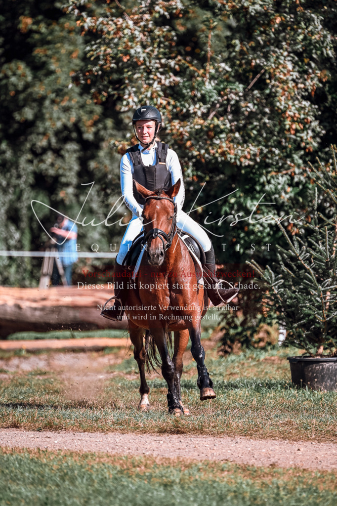 DSC_0688 | Pferde- und Turnierfotografie in Westsachsen. Pferdeportraits, Auftragszeichnungen und intuitive Kunst.