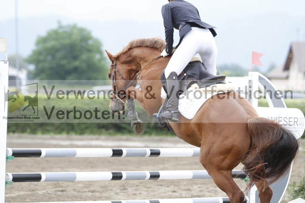 _MG_9843 | equestrian-live-com