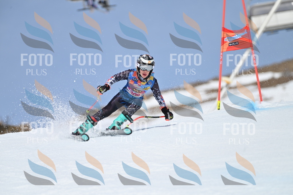 BGV_2916 | holidayphoto