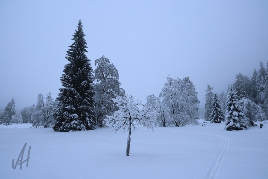 Winterstimmung im Kaiserwald | Winterstimmung im Kaiserwald - Realisiert mit Pictrs.com