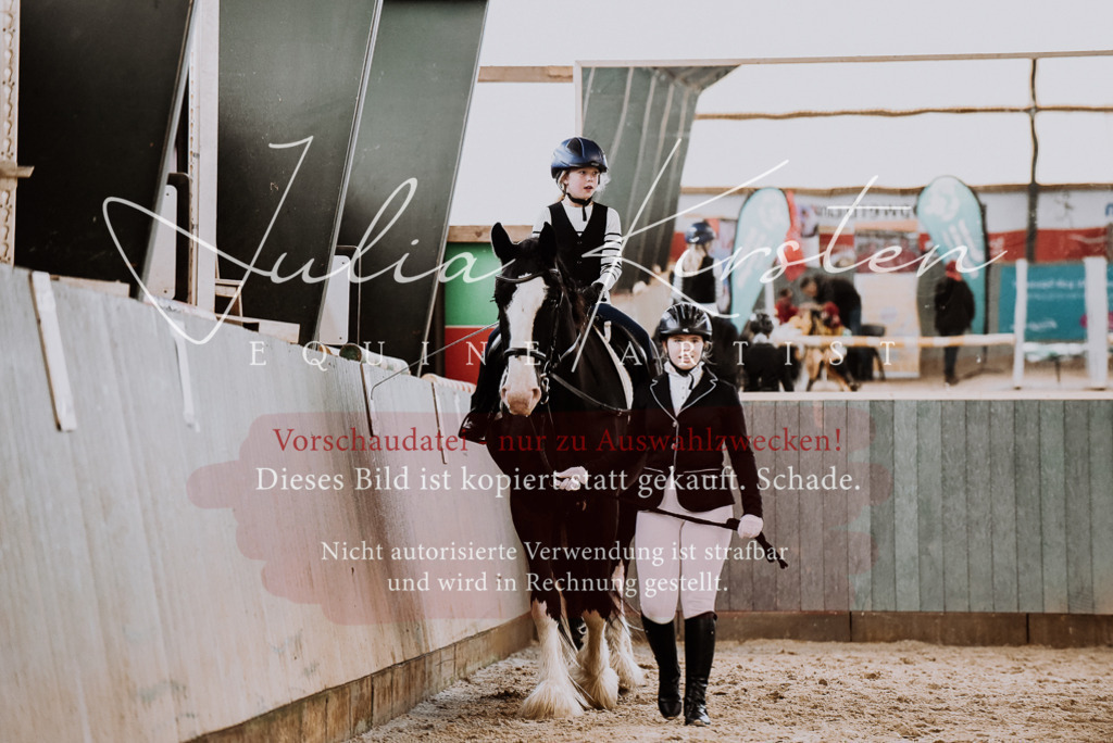 DSC_6831 | Pferde- und Turnierfotografie in Westsachsen. Pferdeportraits, Auftragszeichnungen und intuitive Kunst.