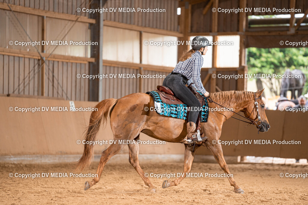 Losheim Tag 1-441 | dv-media-shop - Realisiert mit Pictrs.com