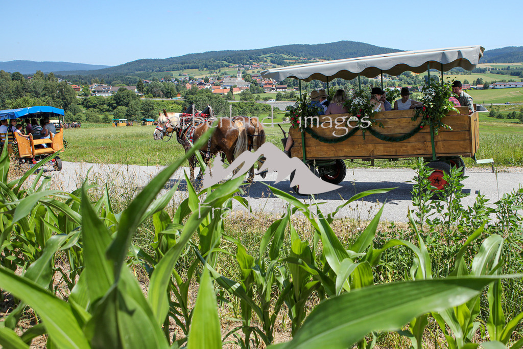 OE7A8434 | es geht wieder hinunter zurück nach Rinchnach
