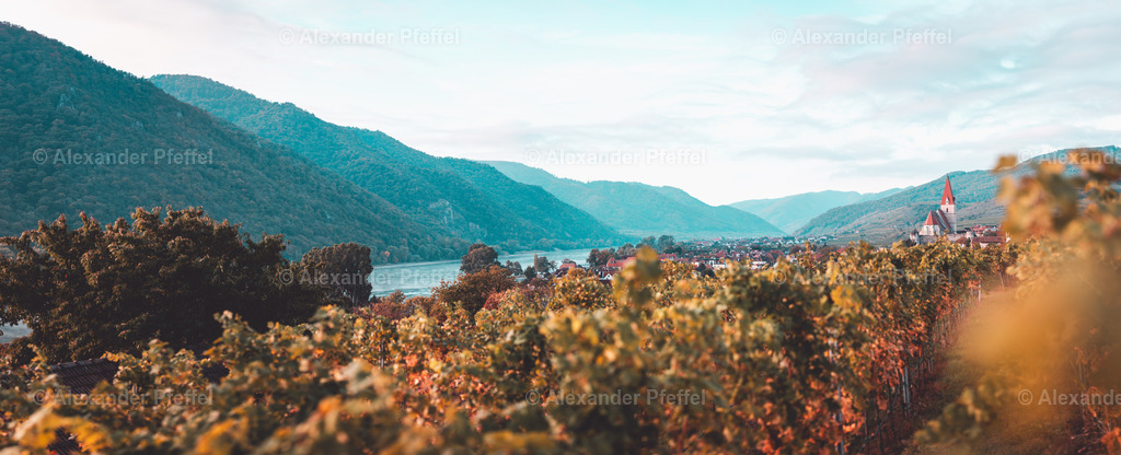 foto_c_pfeffel-partner-0063-R52_0060-Pano | alexander-pfeffel - Realisiert mit Pictrs.com