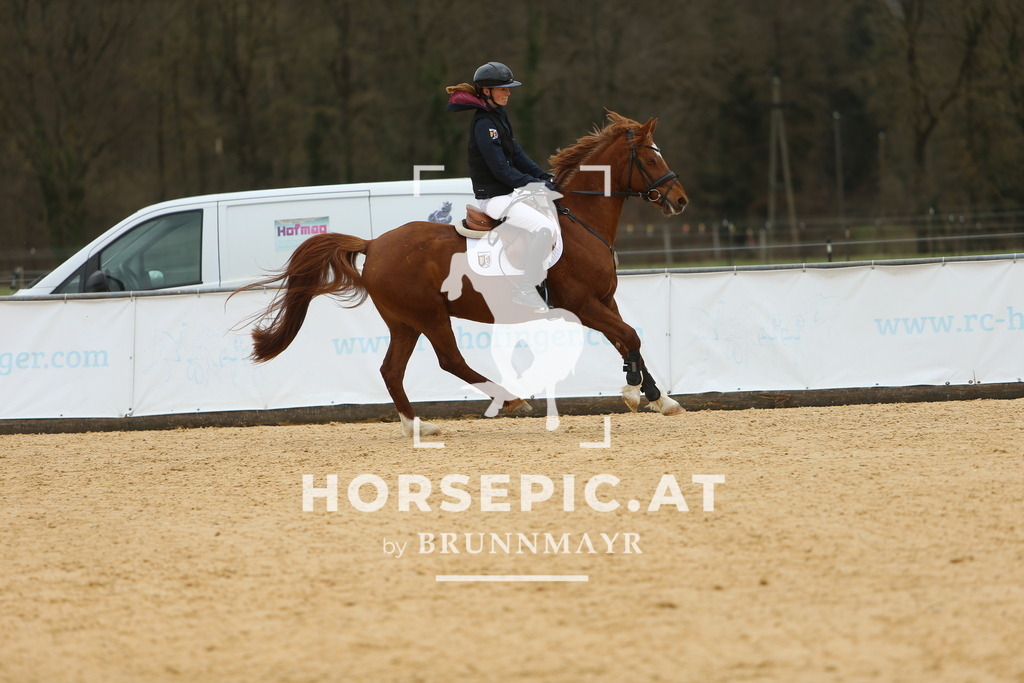 DL2Q1662 | Willkommen bei Brunnmayr - Design & Fotografie – Ihrem Spezialisten für Reitturniere und Pferdeveranstaltungen in Oberösterreich, Salzburg und Bayern! Seit über 17 Jahren sind wir leidenschaftlich dabei.