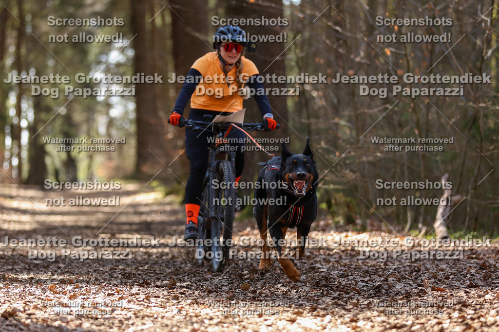 Dog Paparazzi - VCC26-1366 | Dog Paparazzi Jeanette Grottendiek Fotografie & Videografie - Realisiert mit Pictrs.com